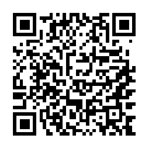 Professionalhomecleaningservices.com QR code
