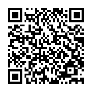 Professionalhomeloanassociation.com QR code