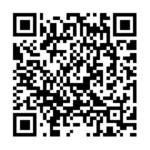 Professionalinvestigatorleicester.com QR code