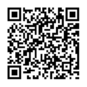 Professionalmarketingtechniques.com QR code