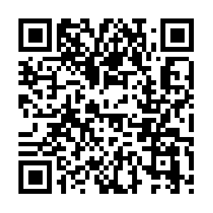 Professionalnetworkmarketingsite.com QR code