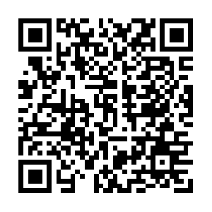 Professionalrecreationmanagement.org QR code