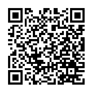 Professionalroofandstormsolutions.com QR code