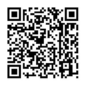 Professionaltreecuttingoakgrovecolumbia.com QR code