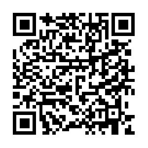 Professionalwealthbuildingsystems.com QR code