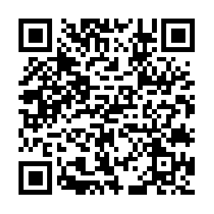 Professionnelsdelahifivideoenligne.com QR code