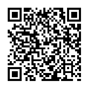 Professorofprofessionalwrestling.com QR code