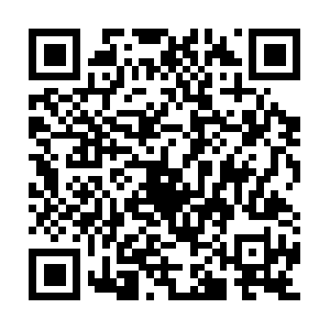 Programdevelopmentandtechnicalsolutions.com QR code