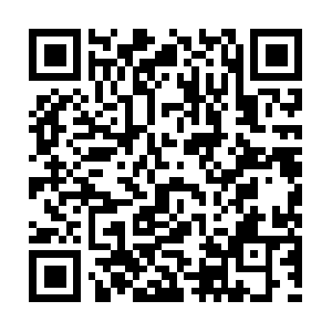 Progressivehealthinstituteincorporated.com QR code