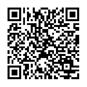 Projectlifecyclecoachingspecial.com QR code