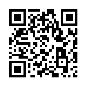 Promatchsolutions.info QR code