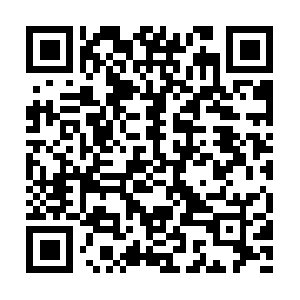 Proteccionalconsumidoraldeaglobal.com QR code