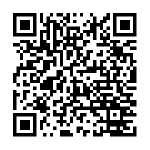 Protectionstrategiesincorporated.info QR code