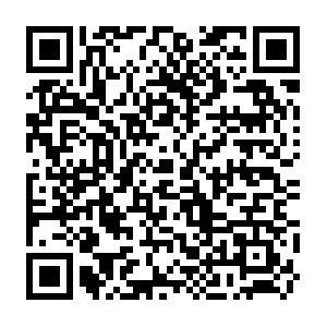 Psychotherapypsychopharmacologyandbrainstimulation.com QR code