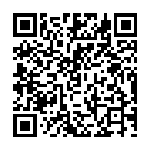 Publicprivateinvestmentprograms.com QR code