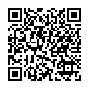 Publictransportationsoftwareexperts.com QR code