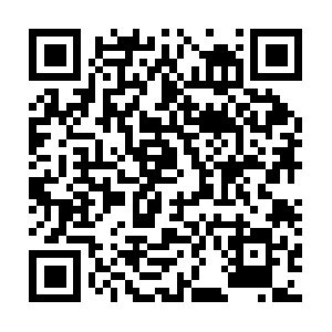 Puertovallartapropiedadesenventa.com QR code