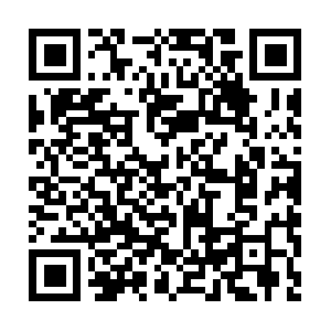 Pull-flv-l1-sg01.tiktokcdn.com.localnet QR code