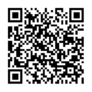 Pull-flv-l1.douyincdn.com.wsdvs.com QR code