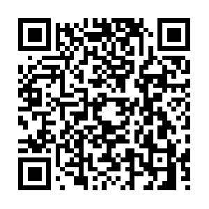 Pull-hls-q5-va01.tiktokcdn.com.domain.name QR code