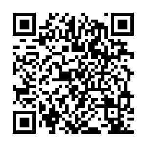 Pull-rtmp-f11.tiktokcdn.com.totolink QR code