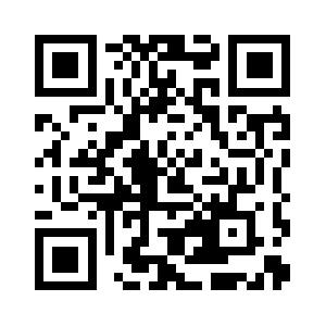 Pulpandpapervalves.com QR code