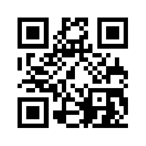 Punbuy.com QR code