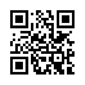 Punchaceo.com QR code