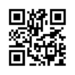 Punchation.com QR code