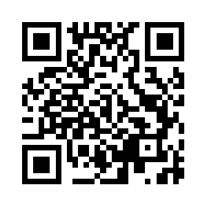 Punchgrinding.com QR code