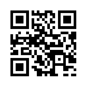 Punchispun.com QR code