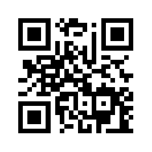 Punctiplan.com QR code