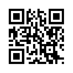 Puneclix.com QR code