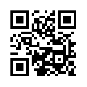 Puninfo.info QR code