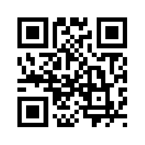 Punisht.com QR code