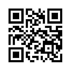 Punlork.com QR code
