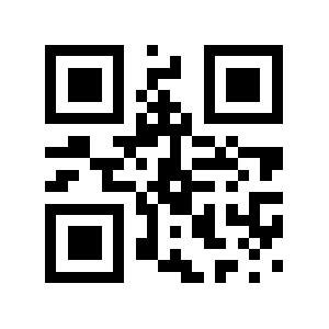 Puntos QR code