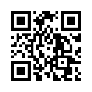 Pynsystem.com QR code