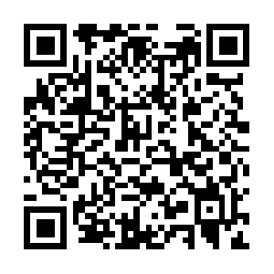 Pyrenaeenberghunde-vomvieringhaus.net QR code