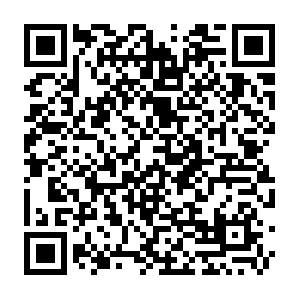 Qing.wps.cn.getcacheddhcpresultsforcurrentconfig QR code