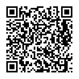 Qismo-lb-1914754584.ap-southeast-1.elb.amazonaws.com QR code