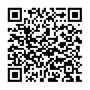 Qpic.cn.getcacheddhcpresultsforcurrentconfig QR code