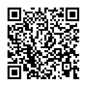 Qq.com.dob.sibl.support-intelligence.net QR code