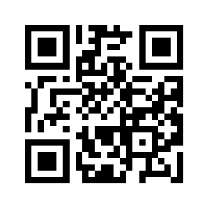 Qq1995.biz QR code