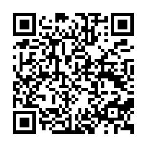 Qualityprofessionalhandymanservices.com QR code