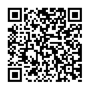 Quick-profits-at-home-wileyford.com QR code