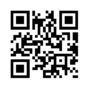 R.autbid.net QR code