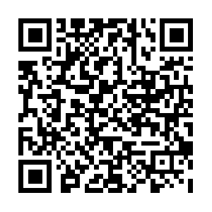 R1-sn-bg5hxxo2ivox-q5jl.googlevideo.com QR code