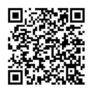 R2-sn-5np5po4v-0gul.googlevideo.com QR code