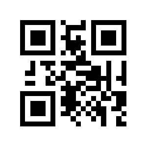 R30.co QR code